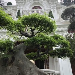Tham quan tiến độ thi công công trình: "Lâu đài anh Tiến tại Hưng Yên"