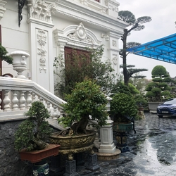 Tham quan tiến độ thi công công trình: "Lâu đài anh Tiến tại Hưng Yên"