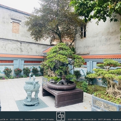 Nội thất nhà thờ anh Sinh: không gian gỗ truyền thống