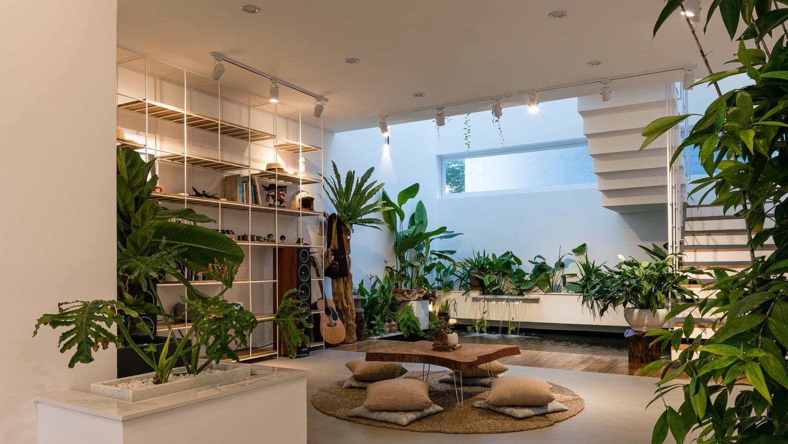 Sử dụng cây xanh trong thiết kế nội thất biệt thự song lập
