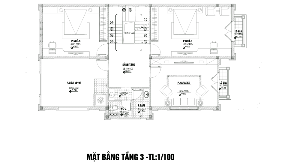 biệt thự 3 tầng tân cổ2