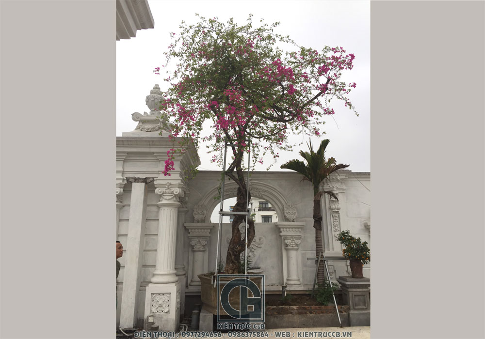 Hiện trạng tháng 3 biệt thự tân cổ điển nhà anh Tiến